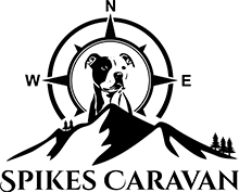 Zur Startseite gehen